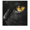 Katzenauge