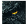 Eulenauge
