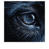 Wolfsauge