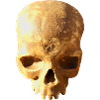 Skull background