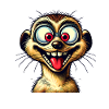 Meerkat