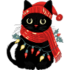 Cat and winter