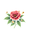 Jardinier, pollinisateur, jardin et