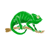 Cadeaux Caméléon