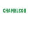 Cadeaux Caméléon
