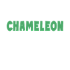 Cadeaux Caméléon
