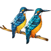 Bunte Vögel