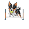 Flyball Sports canins