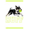 Flyball Dog Sports