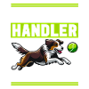 Flyball Sports canins
