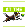 Flyball Sports canins