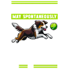 Flyball Dog Sports