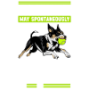 Flyball Dog Sports