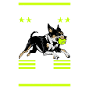 Flyball Sports canins