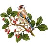Bunter Vogel