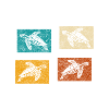 Turtles Nature
