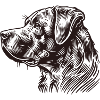 Dog profile