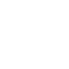 Mountain Beagle Dog