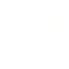 Australian Shepherd Dog Mountain