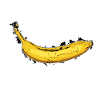Banane