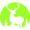 Hirsch im Vollmond