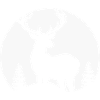 Platzhirsch