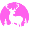 Pink Hirsch