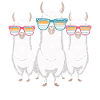 Cool alpacas with sunglasses