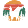 Alpaca Mountains Nature