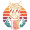 Cool alpaca with sunglasses