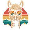 Cool alpaca with sunglasses
