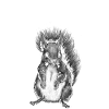 Frank