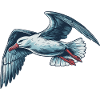 Albatros