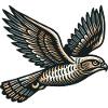 Hawk