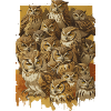 Owl family
