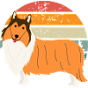 Border collie Retro sunset