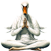 Swans Yoga