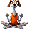 Dog Yoga / Yogi Dog
