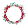 Buchstabe k Blumenkrone
