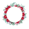 Letter n floral wreath