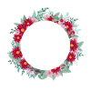 Buchstabe o Blumenkrone