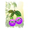 Brillenbeeren