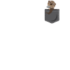 Otter Pocket