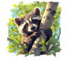 Raccoons Raccoon