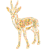 Gazelle Geometric