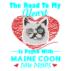 Funny Maine Coon Cat