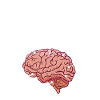 Cerveau d’ingénieur Pensées amusantes