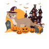 Otter Halloween Pumpkin
