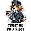 Pilote Beagle