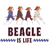 Beagle is life design
